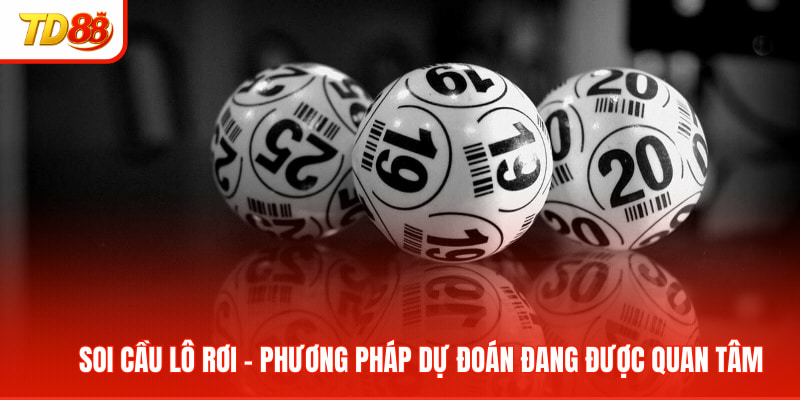 soi-cau-lo-roi-avt
